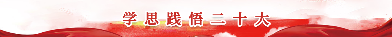 學思踐悟二十大