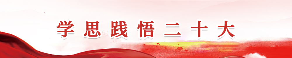 學思踐悟二十大